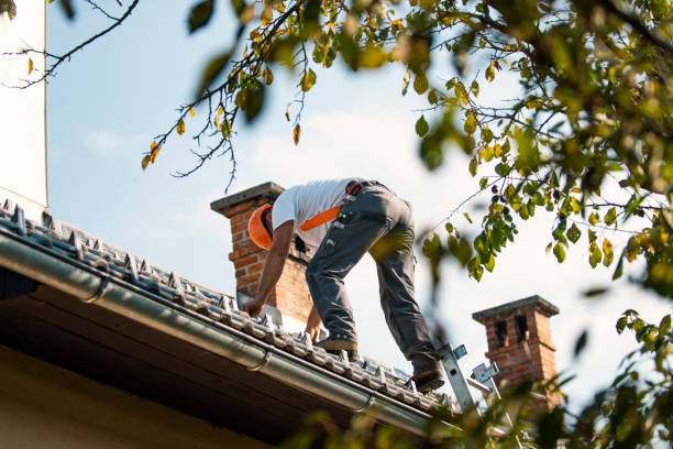 Best Local Roofing Companies  in Warrensburg, MO