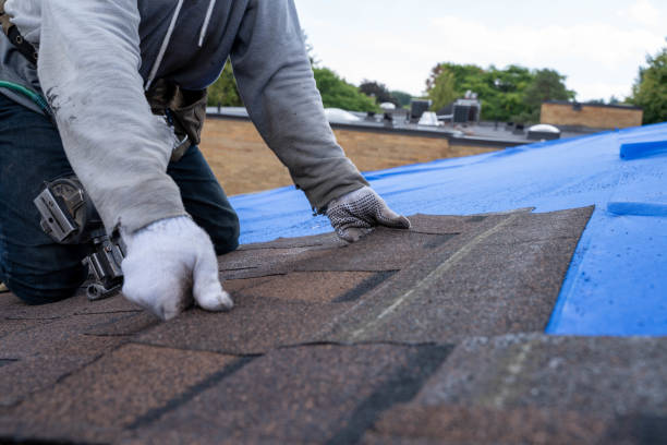 Best Commercial Roofing Services  in Warrensburg, MO