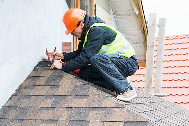 Best Roof Gutter Cleaning  in Warrensburg, MO